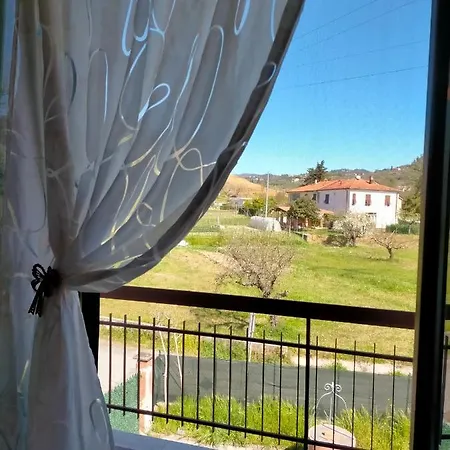 Apartment Paradiso